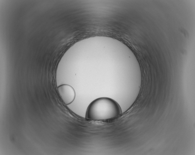 X0000111870528200907231154