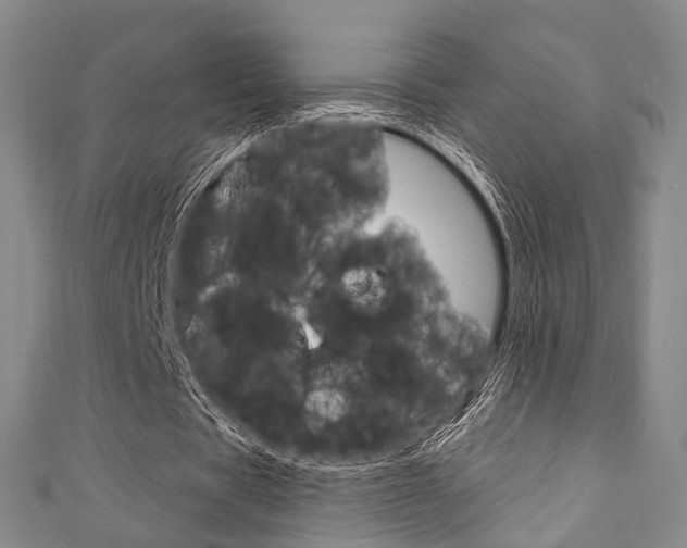X0000111870529200907231153
