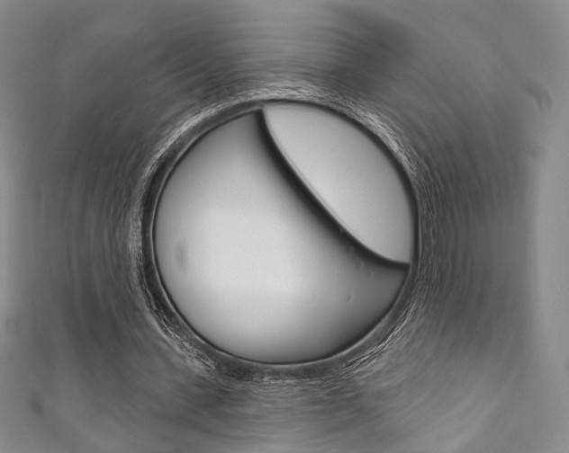X0000111870531200907231153