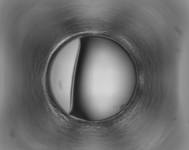 X0000111870532200907231153