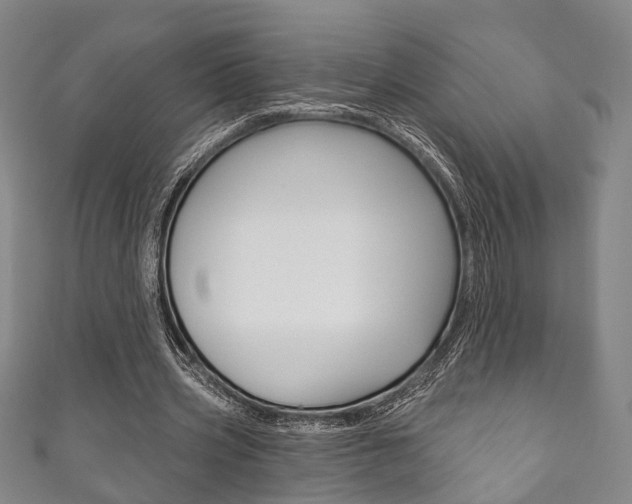 X0000111870533200907231153