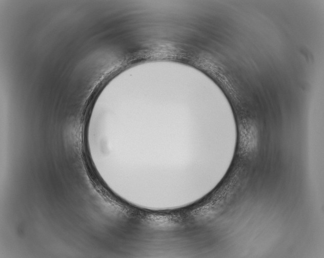X0000111870534200907231153