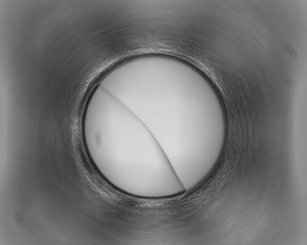 X0000111870535200907231153