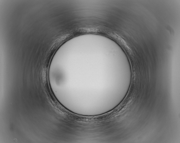 X0000111870537200907231153