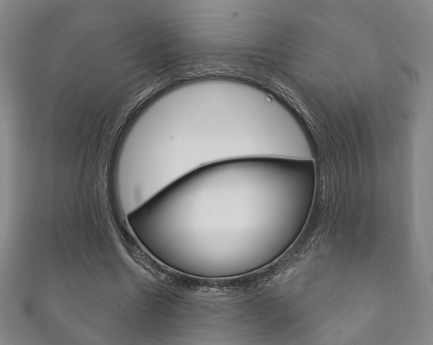 X0000111870538200907231153