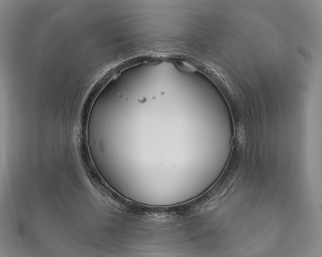 X0000111870540200907231153
