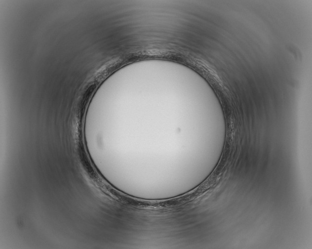 X0000111870542200907231153