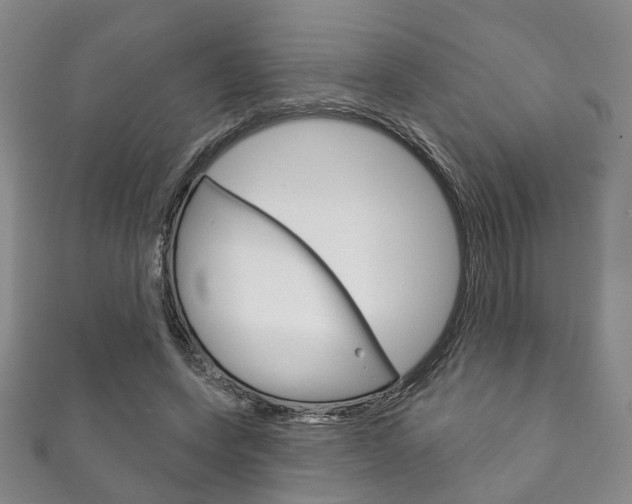 X0000111870543200907231153