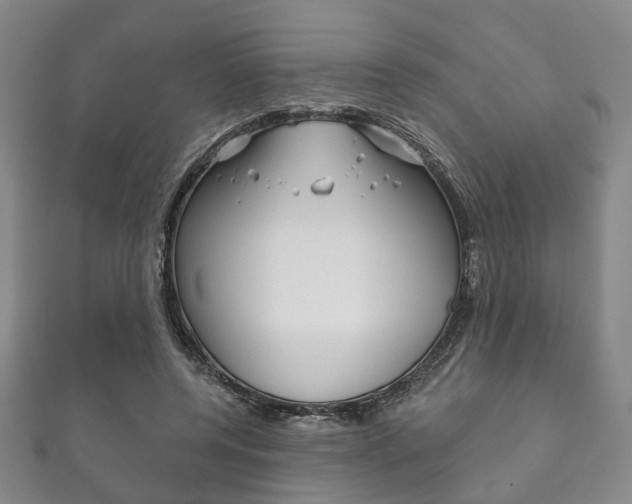 X0000111870544200907231153