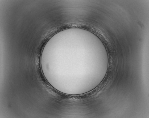 X0000111870545200907231153