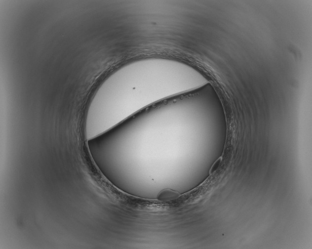 X0000111870546200907231153