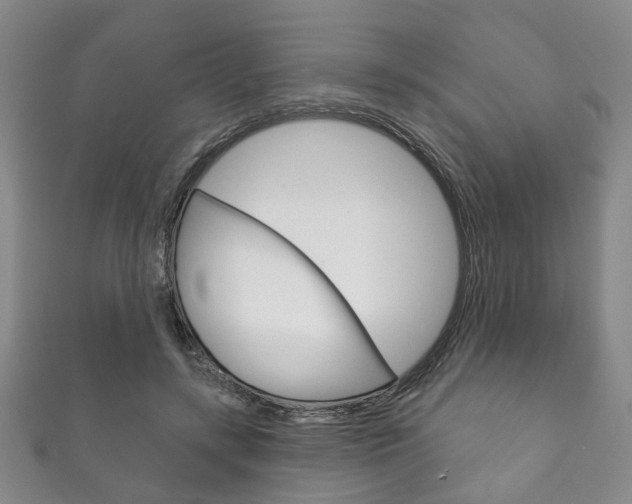 X0000111870547200907231153