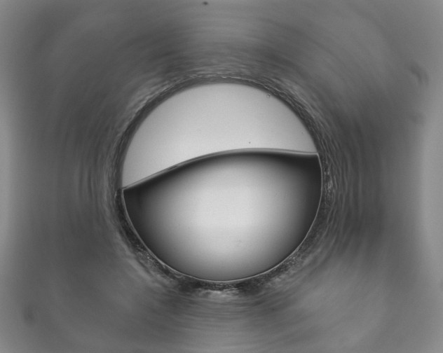X0000111870548200907231153