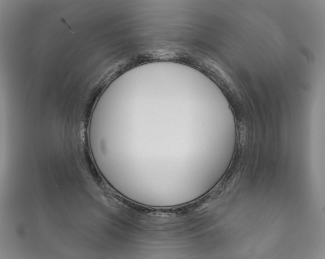 X0000111870549200907231153