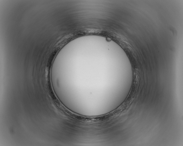 X0000111870550200907231153
