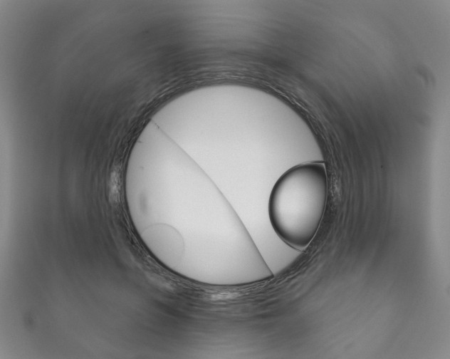 X0000111870551200907231153