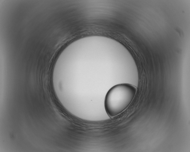 X0000111870552200907231153