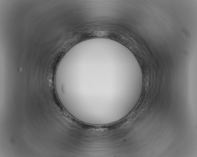 X0000111870553200907231153