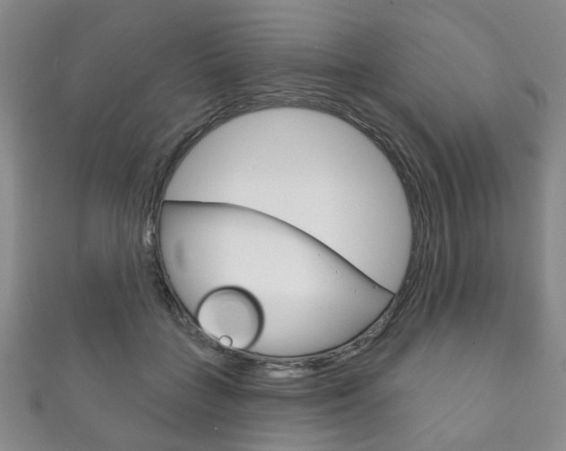 X0000111870555200907231153