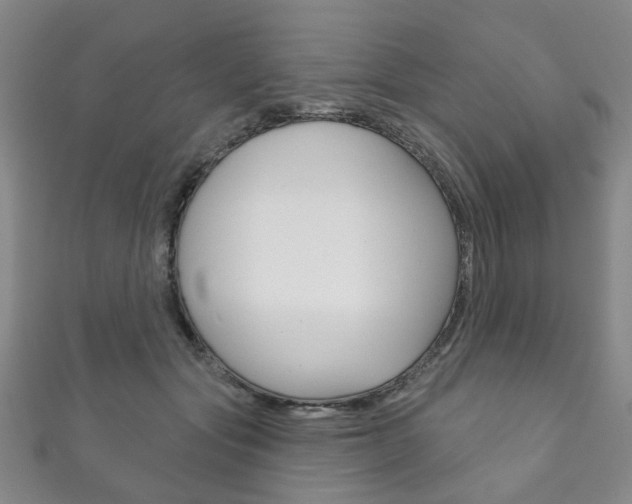 X0000111870557200907231153