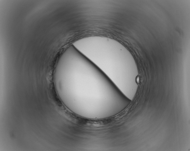 X0000111870559200907231153