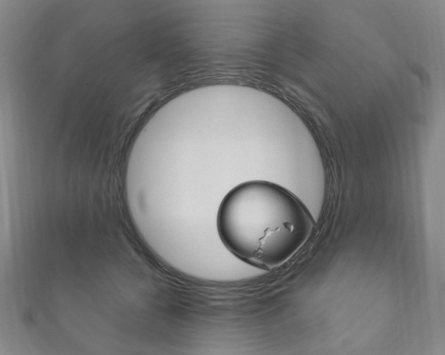X0000111870560200907231153