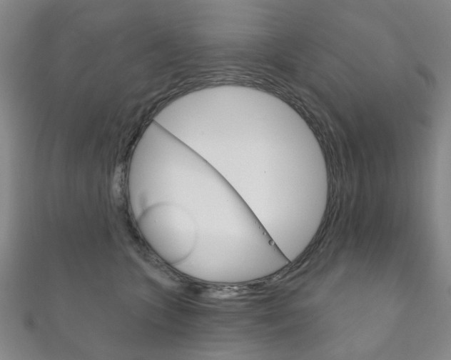 X0000111870563200907231153