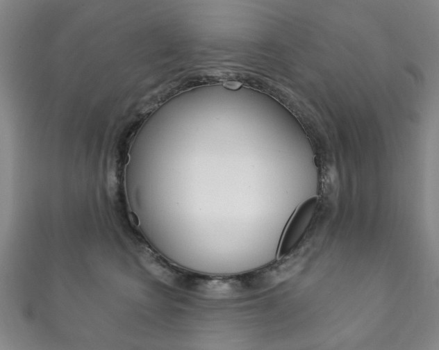 X0000111870566200907231154