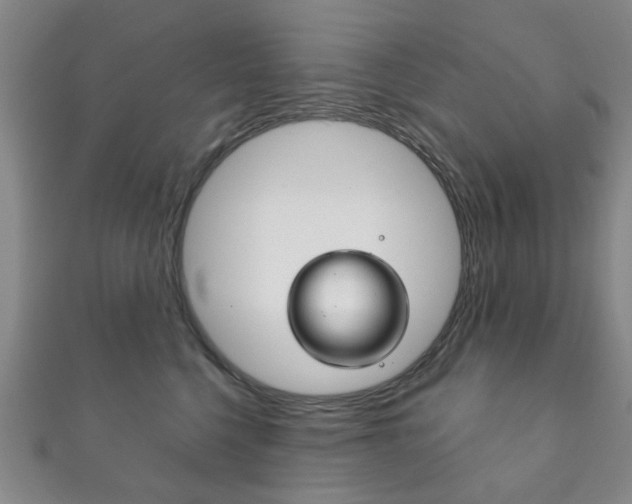 X0000111870568200907231154