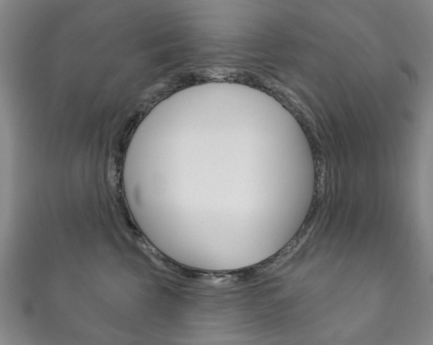 X0000111870569200907231154