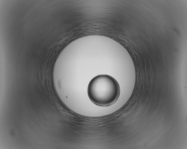 X0000111870570200907231154