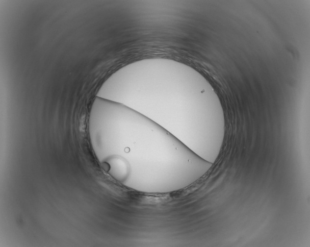 X0000111870571200907231154