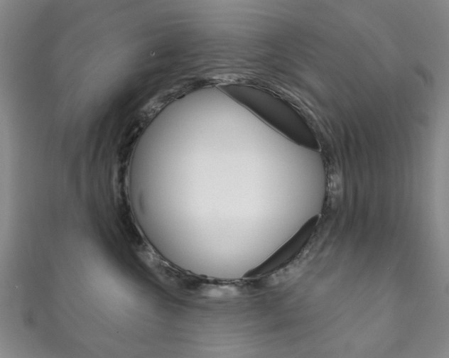 X0000111870572200907231154