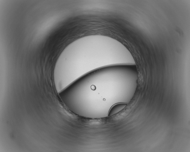 X0000111870574200907231154