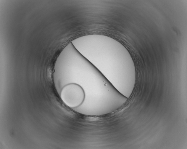 X0000111870575200907231154