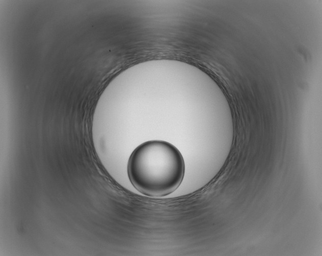 X0000111870576200907231154