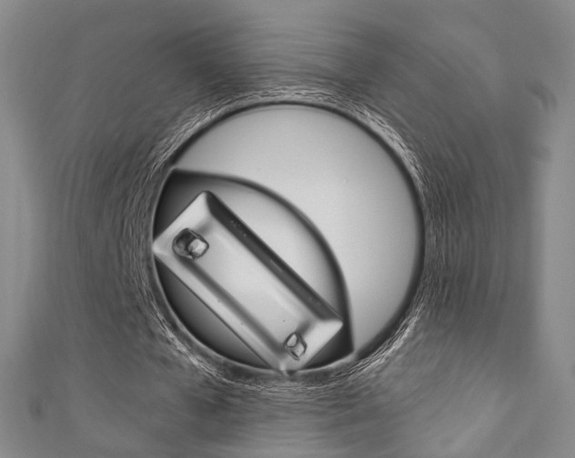 X0000111870577200907231153