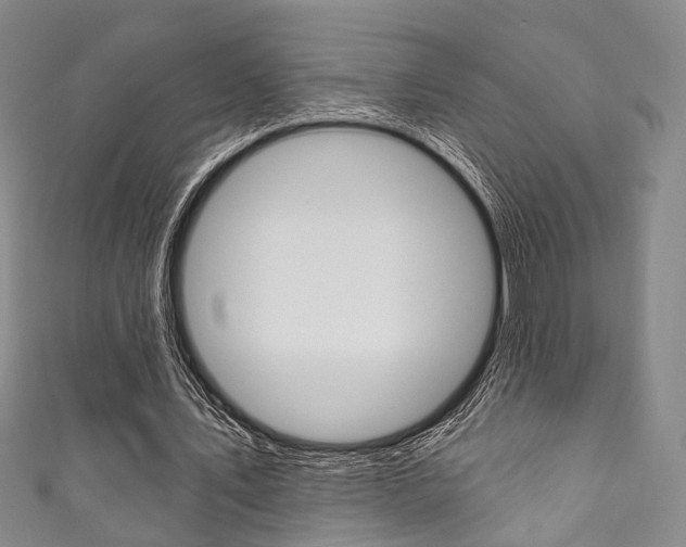 X0000111870579200907231153