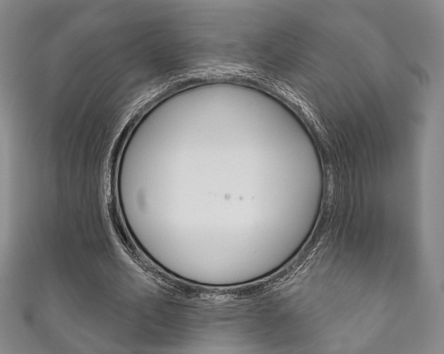 X0000111870582200907231153