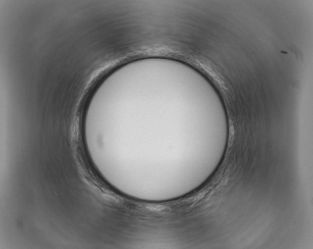 X0000111870583200907231153
