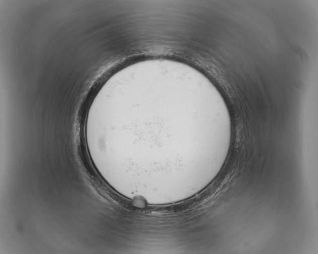 X0000111870584200907231153