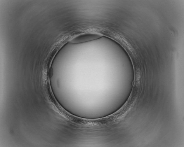 X0000111870585200907231153