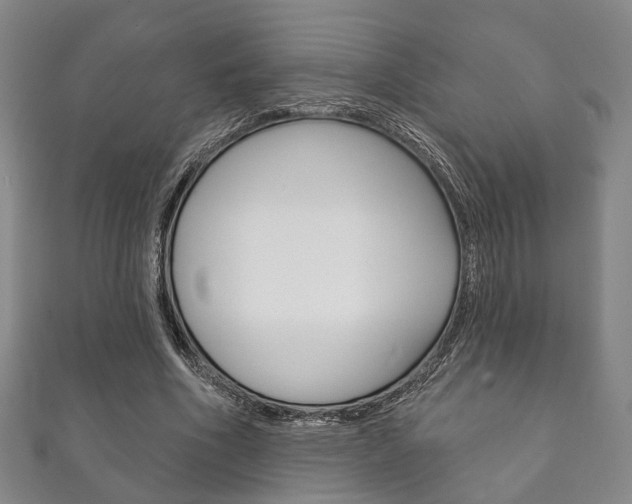 X0000111870586200907231153