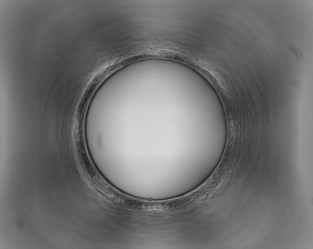 X0000111870587200907231153
