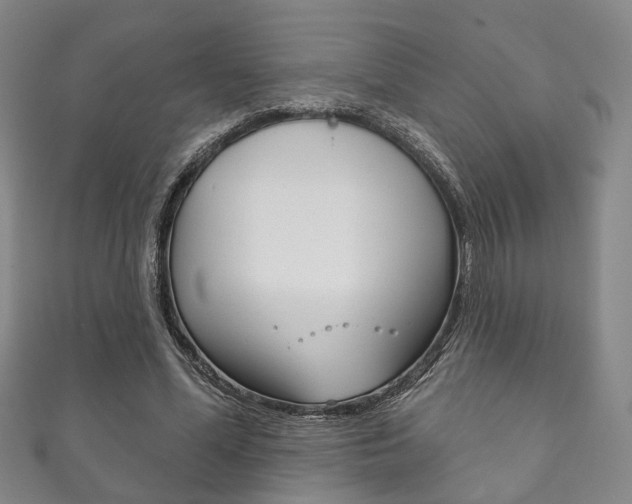 X0000111870588200907231153