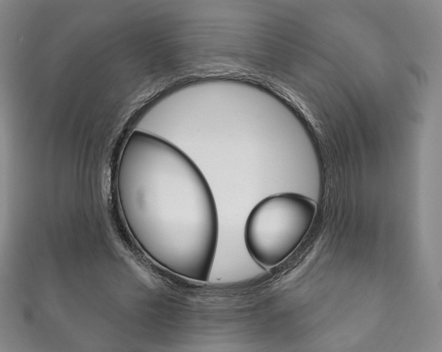X0000111870589200907231153