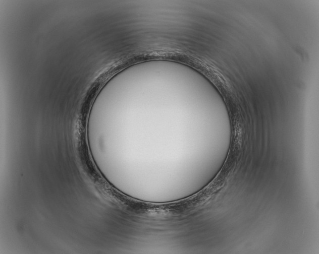 X0000111870591200907231153