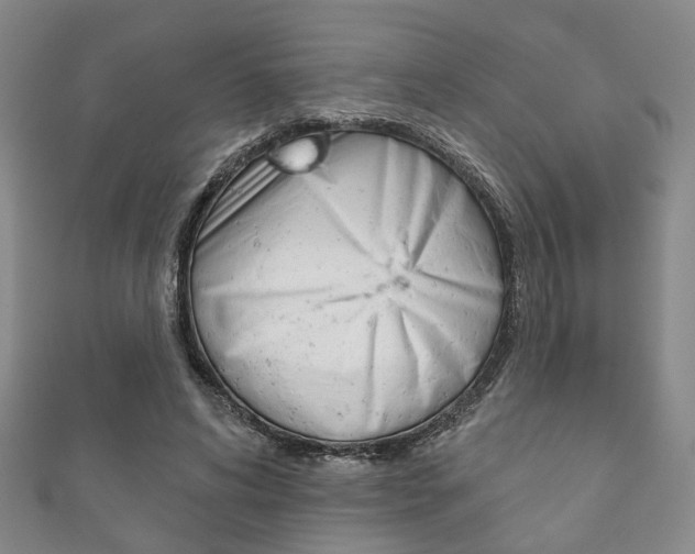 X0000111870592200907231153