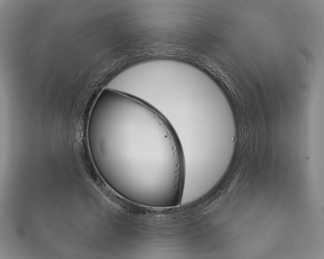 X0000111870593200907231153