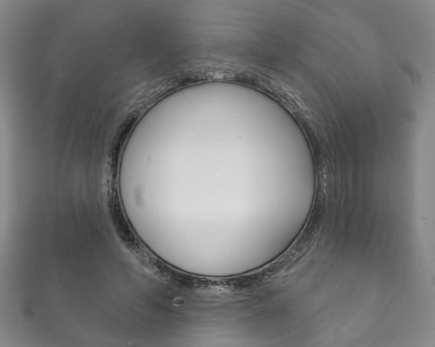 X0000111870594200907231153